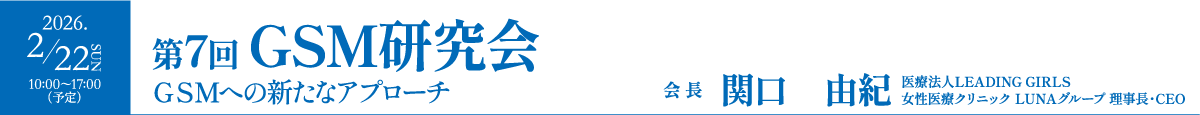 第6回GSM研究会